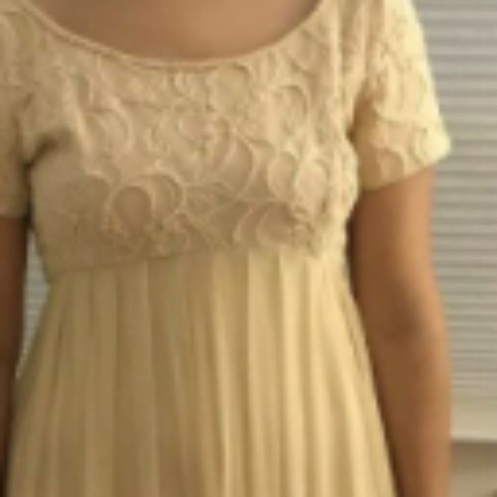 *NWT* Nude/Champagne beaded empire waist dress - Picture 6 of 6